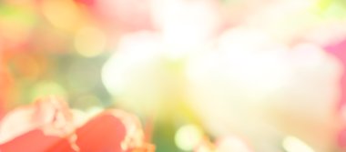 arka plan tatlı renk bulanıklık