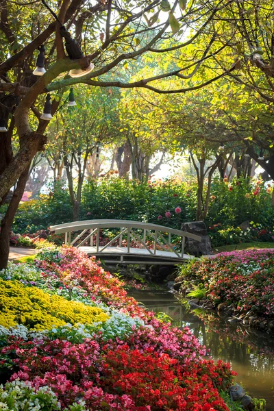 Ponte de madeira no jardim da flor na luz do sol da manhã — Fotografia de Stock