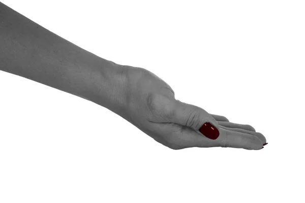 Die Handfläche zeigt alles, erwachsene weibliche Haut, rote Maniküre. isoliert auf weißem Hintergrund — Stockfoto