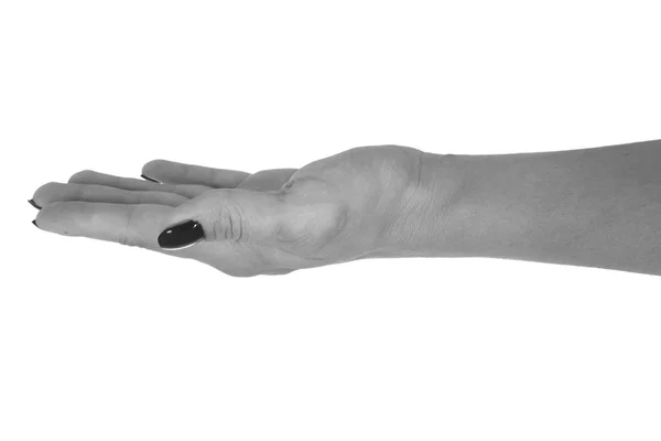 Handfläche auf alles, schöne Frauenhaut, schwarze Maniküre. isoliert auf weißem Hintergrund — Stockfoto