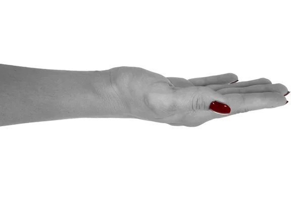 Die Handfläche zeigt etwas an, natürliche Frauenhaut, rote Maniküre. isoliert auf weißem Hintergrund — Stockfoto