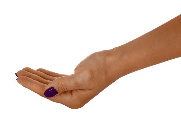 Handfläche nach oben zeigen etwas, erwachsene weibliche Haut, Magenta-Maniküre. isoliert auf weißem Hintergrund — Stockfoto