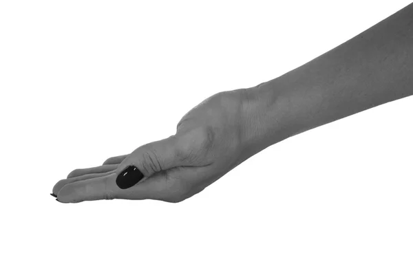 Відкрита рука тримає щось, натуральну жіночу шкіру, чорний манікюр. Ізольовані на білому тлі — стокове фото