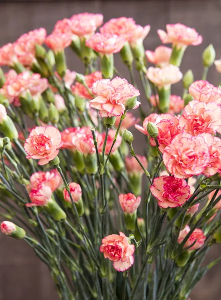 Bouquet of Carnations — Stock Photo, Image