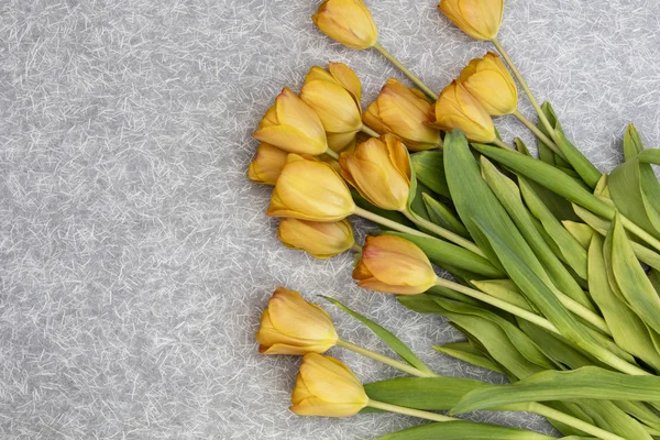 Poster Edge of a bouquet of Tulips — Stock Photo, Image