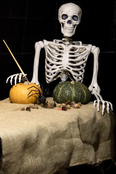 Halloween Skeleton Painting Pumpkins — Stock Photo, Image