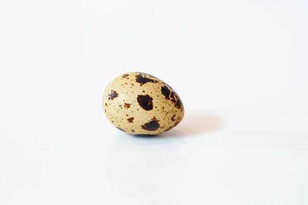 Плямисто Коричневе Біле Яйце Квеї Встановлено Стільниці Фон — стокове фото
