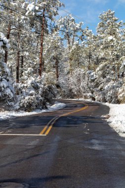 Prescott, Arizona 'da yerel bir toplulukta yaşanan fırtınadan sonraki güzel kar.