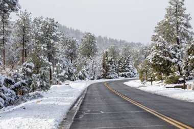 Prescott, Arizona 'da yerel bir toplulukta yaşanan fırtınadan sonraki güzel kar.