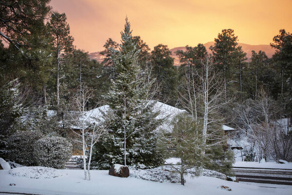 Beautiful snow after a storm in the mountains of Prescott, Arizona in a local community