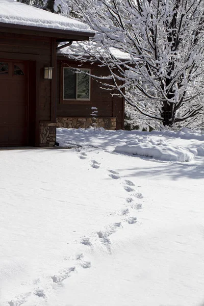 Driveway footprints in snow during a winter storm in a mountain community