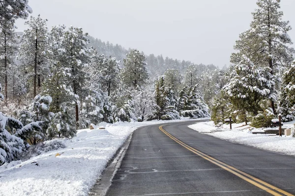 Beautiful Snow Storm Mountains Prescott Arizona Local Community — Stock Photo, Image