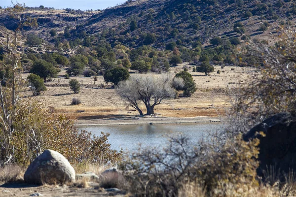 Skalnatá Formace Pouštní Krajina Žulových Dolinách Watsonovo Jezero Prescottu Arizona Stock Snímky