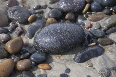 Okyanus çakıl ve taş