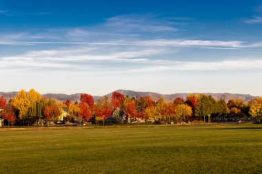 Kırmızılar, sarılar, yeşiller ağaçların renkleri Ekimde Eagle, Idaho 'da sonbahar mevsimi için değişiyor
