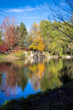 Kartal Idaho Konservesi 'ndeki çeşitli ağaçlara yapraklar dökülüyor.