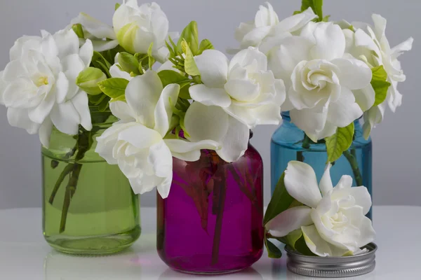 Bouquet av Gardenias – stockfoto