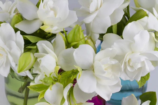 Bouquet di Gardenias — Foto Stock