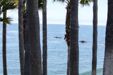 Laguna Beach California sahil sahne