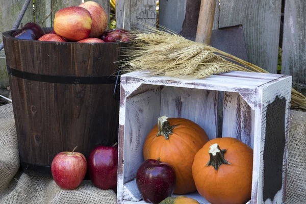 Vakantie herfst appelen en pompoenen — Stockfoto