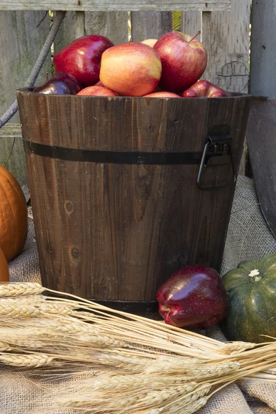 Manzanas y calabazas de otoño de vacaciones —  Fotos de Stock