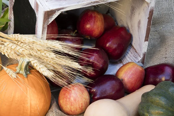 Feriado outono maçãs e abóboras — Fotografia de Stock