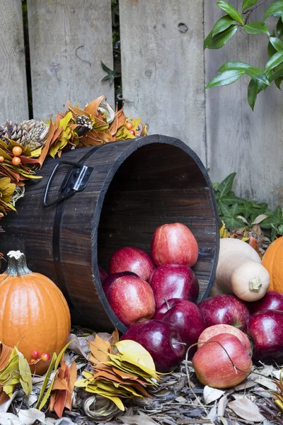 Manzanas y calabazas de otoño —  Fotos de Stock