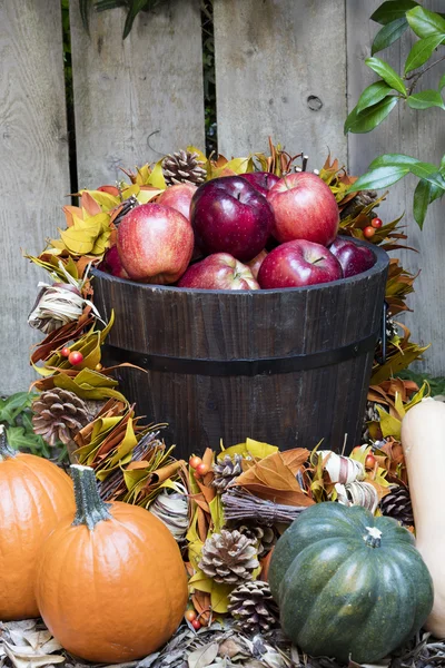 Őszi alma és a sütőtök — Stock Fotó