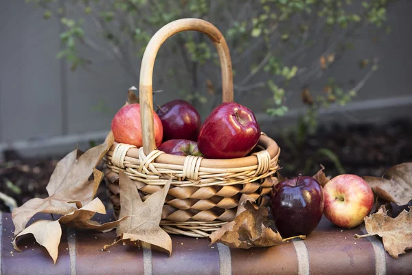 Baket de maçãs de outono — Fotografia de Stock