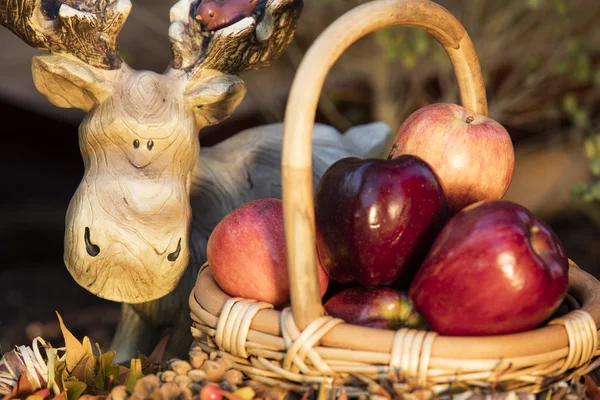 Baket de manzanas de otoño —  Fotos de Stock