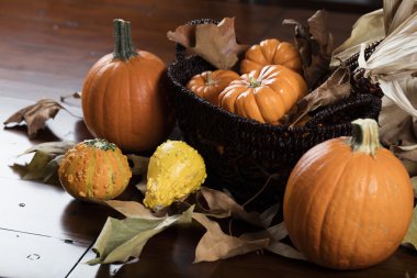Pumpkins and Corn for Thanksgiving Decor