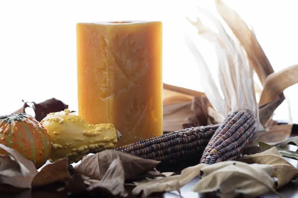 Pumpkins and Corn for Thanksgiving Decor — Stock Photo, Image