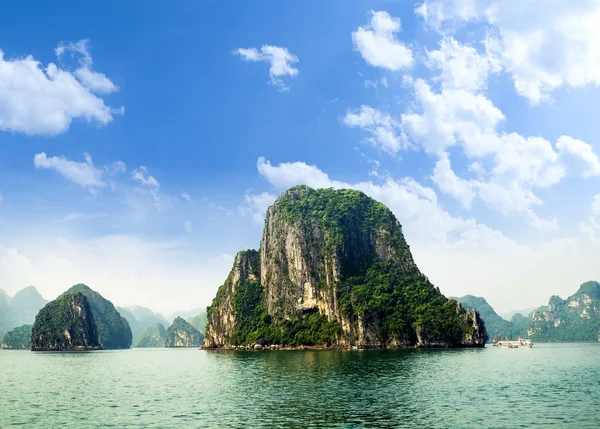 Ha uzun bay Vietnam — Stok fotoğraf
