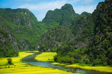 Ninhbinh Pirinç tarlası ve Ngodong nehri, Vietnam