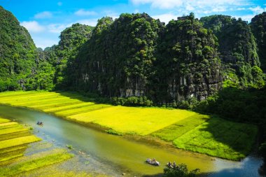 Ninhbinh Pirinç tarlası ve Ngodong nehri, Vietnam