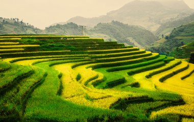 Mu Cang Chai, Yenbai, Vietnam pirinç tarlaları teraslı.