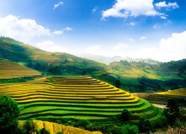 Mu Cang Chai, Yenbai, Vietnam pirinç tarlaları teraslı.