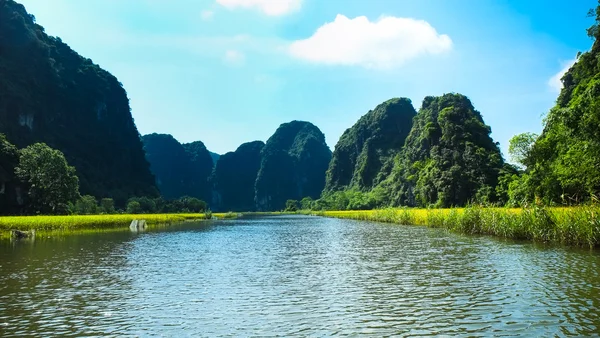 Reisfeld und Ngodong-Fluss in Ninhbinh, Vietnam — Stockfoto