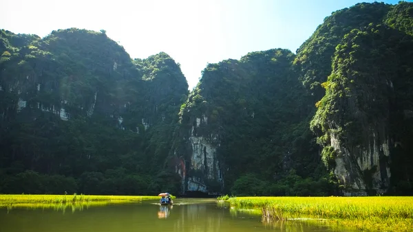 Campo de arroz e rio NgoDong em NinhBinh, Vietnã — Fotografia de Stock