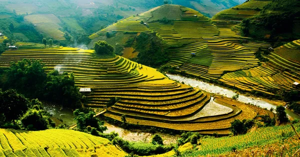 Rijstvelden op terrassen van Mu Cang Chai, Yenbai, Vietnam. — Stockfoto