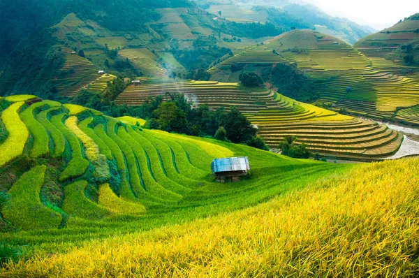 Рисовые поля на террасе Mu Cang Chai, YenBai, Вьетнам . — стоковое фото