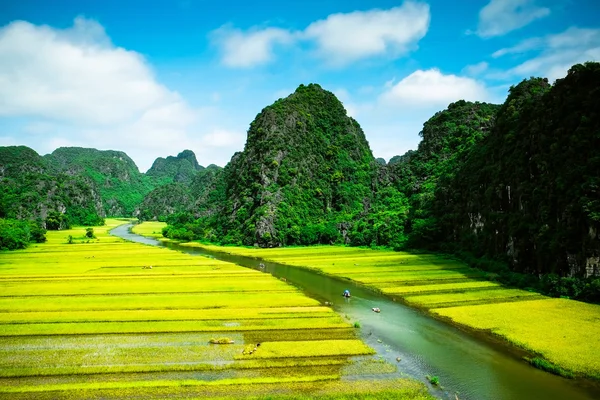 Reisfeld und Fluss, Ninhbinh, vietnamesische Landschaften — Stockfoto