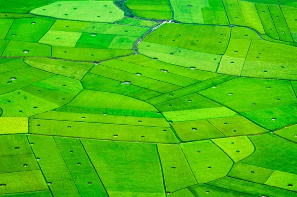 Рисових полів на Bac син гірського, син Ланг, В'єтнам — стокове фото