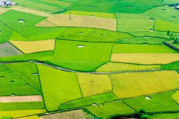 Risfälten på Bac Son berg, Lang Son, Vietnam — Stockfoto