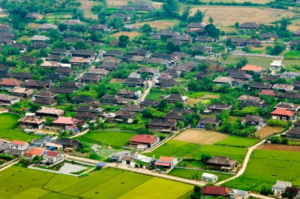 Pól ryżowych na Bac syn Mountain, syn Lang, Wietnam — Zdjęcie stockowe