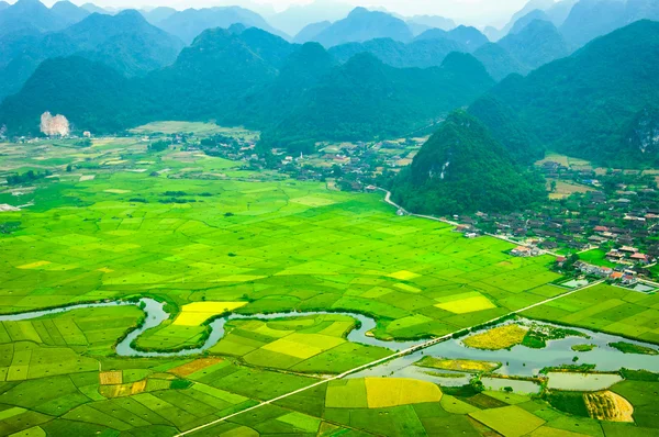 Reisfelder auf bac son mountain, lang son, vietnam — Stockfoto