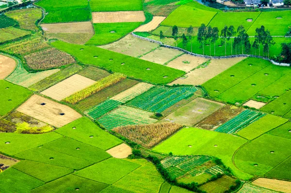Risfälten på Bac Son berg, Lang Son, Vietnam — Stockfoto