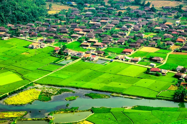 对 Bac 的儿子山，谅山，越南稻田 — 图库照片