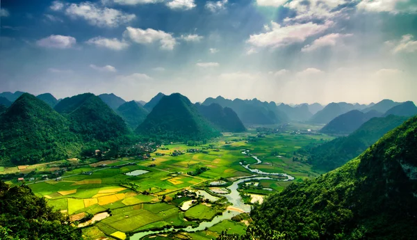 Pirinç tarlaları üzerinde Bac oğlu dağ, Lang evlat, Vietnam — Stok fotoğraf