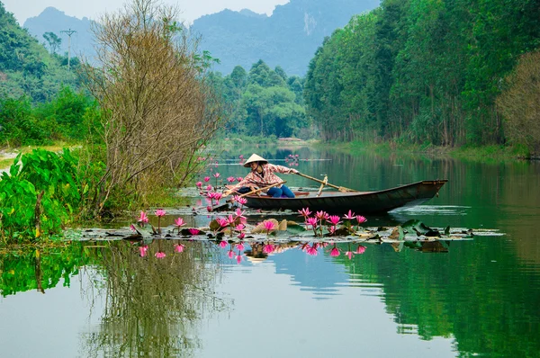 在传统服装划船在淹水森林在 2013 年 11 月 29 日在越南河内举行的女孩. — 图库照片